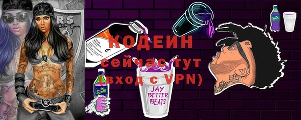 индика Семёнов