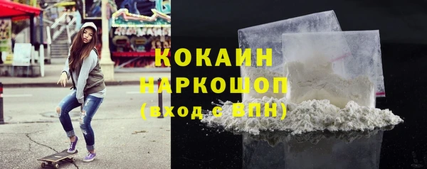 индика Семёнов