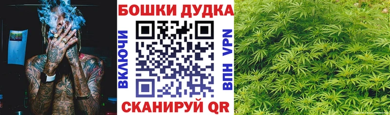 Канабис гибрид  Абаза 